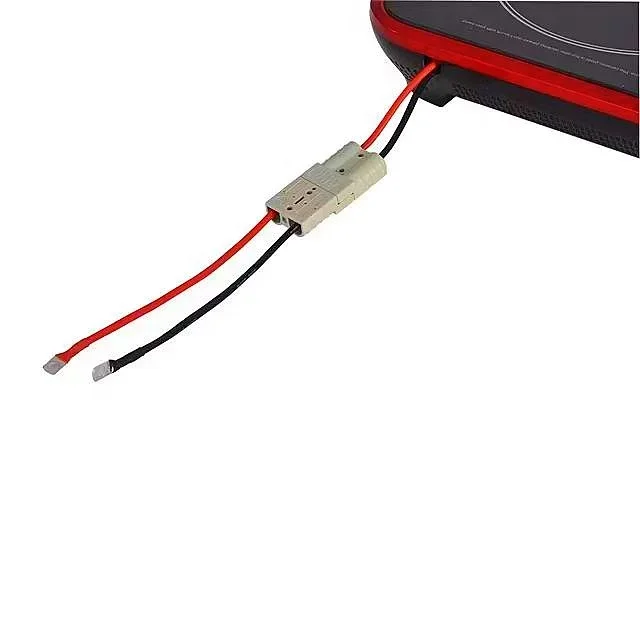 Camping Cooking Electric - Aanraakknop Solar 24 Volt 48V Elektrische