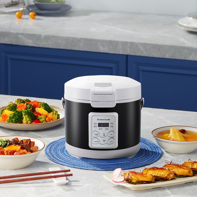 220V Mini Rijstkoker Soep Stoo - Camping Cooking Menu recensie en prijs