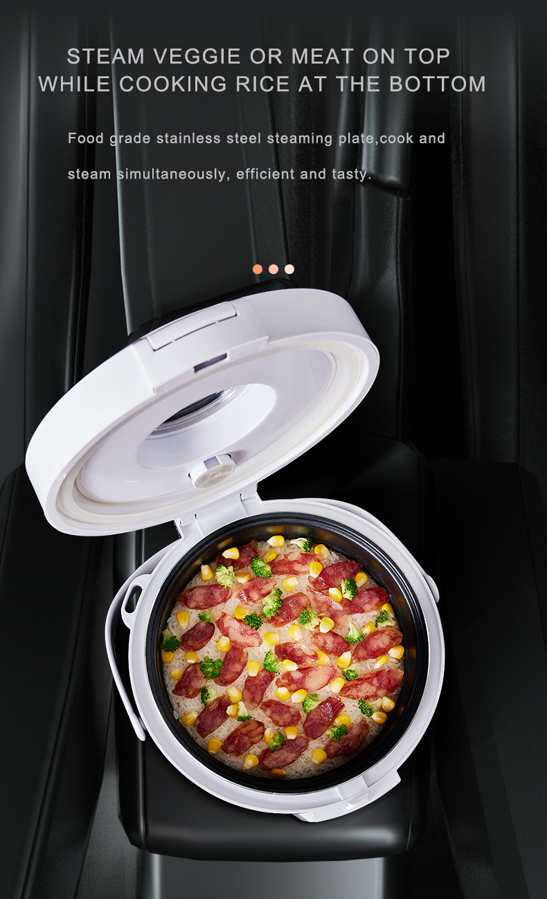 24V Rijstkoker Truck Soepstoom - Camping Cooking Meals recensie en prijs